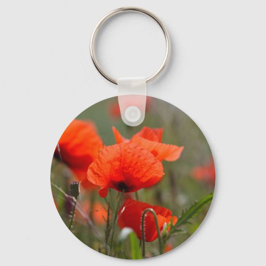 Porte-clés Fleurs de pavot commun dans un champ. (Recto)