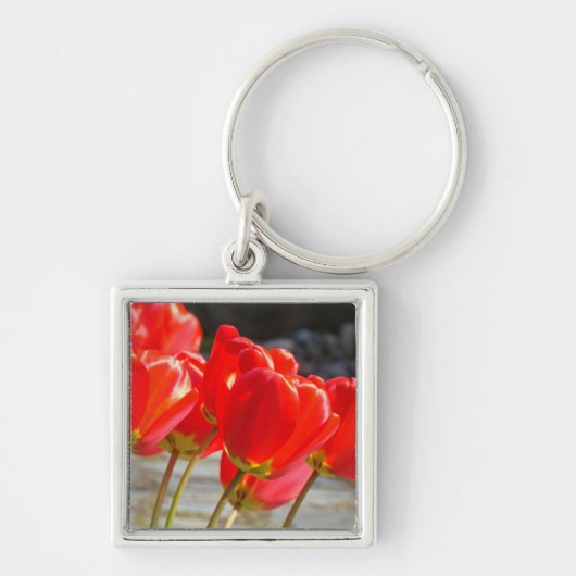 Porte-clés Fleurs de Tulipe Rouge chaîne de clés d (Devant)