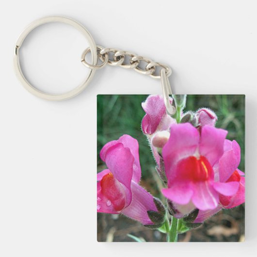 Porte-clés Fleurs roses de muflier (Devant)