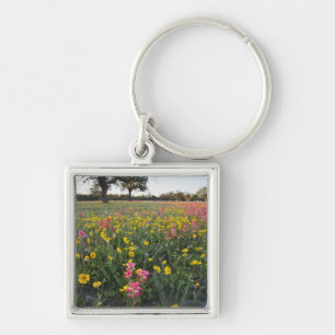 Porte-clés Fleurs sauvages au bord de la route au Texas, prin