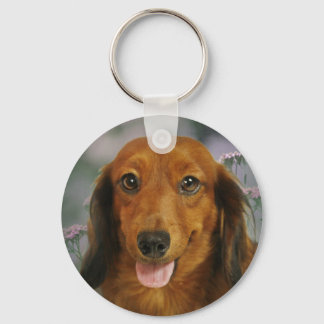 Porte-clés Fleurs sauvages mignonnes Dachshund (Brown Long Ha