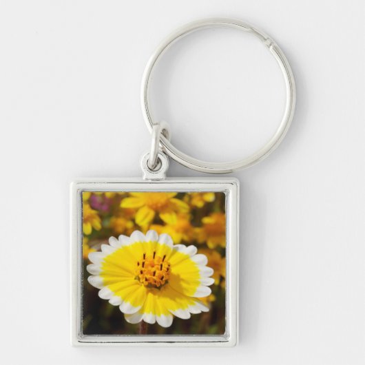 Porte-clés Fleurs sauvages Tidy Tip (Devant)