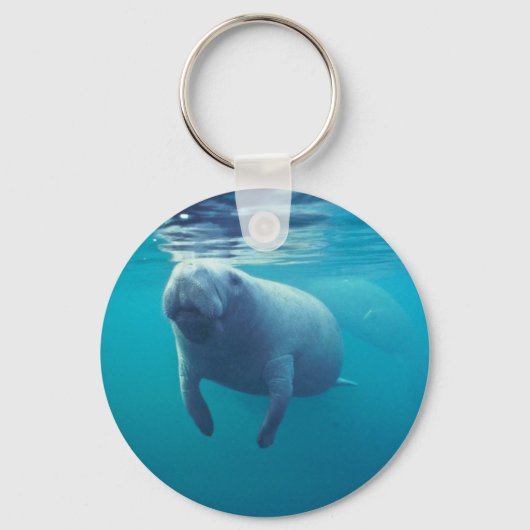 Porte-clés Florida Manatee (Recto)