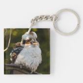 Porte-clés Fluffed up riant kookaburra (Dos)