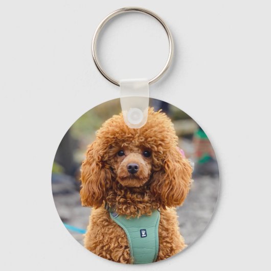 Porte-clés Fluffy Brown Poodle Chien chiot (Recto)