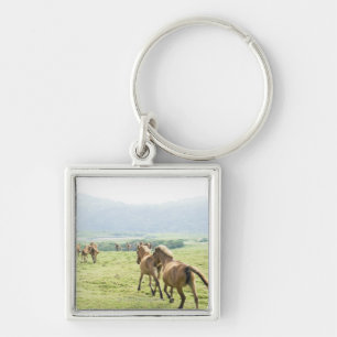 Porte-clés Fonctionnement de chevaux