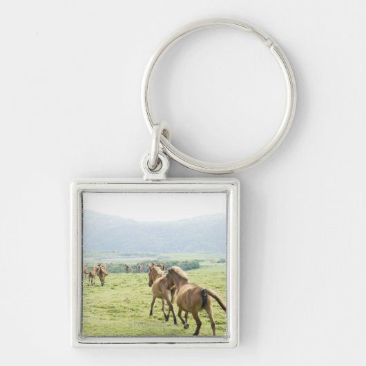 Porte-clés Fonctionnement de chevaux (Devant)