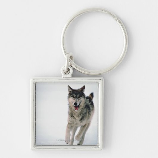 Porte-clés Fonctionnement de loup gris (Devant)