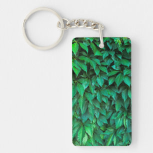 Porte-clés fond de haie verte parthenocissus motif texte