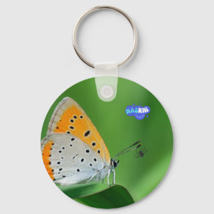 Porte-clés Fond vert et papillon jaune et blanc et araignée