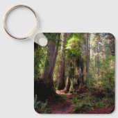 Porte-clés Forest | Séquwood Forest California (Recto)