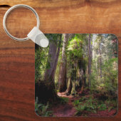 Porte-clés Forest | Séquwood Forest California (Recto)