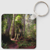 Porte-clés Forest | Séquwood Forest California (Dos)