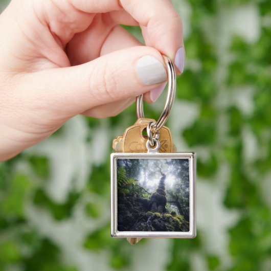 Porte-clés Forêt | Anaga Parc rural Îles Canaries (main)