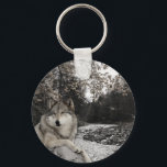 Porte-clés Forêt animale Wolf Woodland<br><div class="desc">Ce design a été créé par art numérique et peut être personnalisé dans la zone fournie par le changement de la photo et/ou du texte. Vous pouvez également le customiser en choisissant l'option cliquer pour customiser une autre option et supprimer ou modifier la couleur de l'arrière - plan, ajouter du...</div>