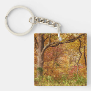 Porte-clés Forêt d'automne
