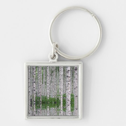 Porte-clés Forêt de Birch Nature (Devant)