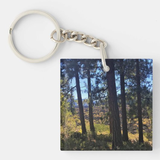 Porte-clés Forêt de lave, Oregon (Devant)