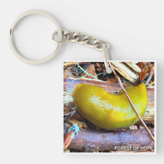 Porte-clés Forêt de l'espoir