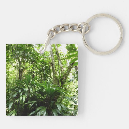 Porte-clés Forêt de pluie dominicaine I Nature verte tropical (Dos)