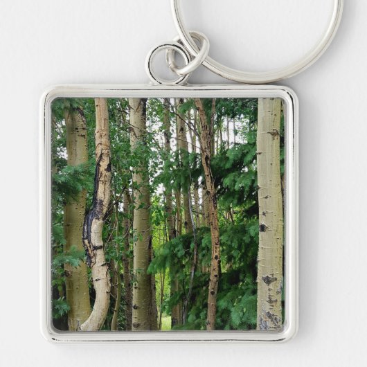Porte-clés Forêt de trembles (Devant)