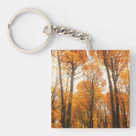 Porte-clés Forêt d'Orange (Devant)