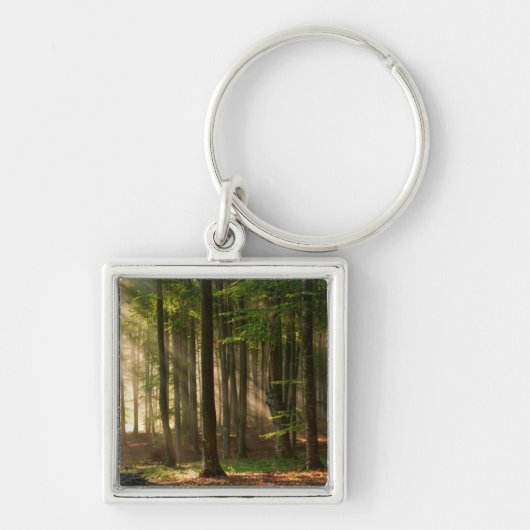 Porte-clés Forêt | Forêt d'automne (Devant)