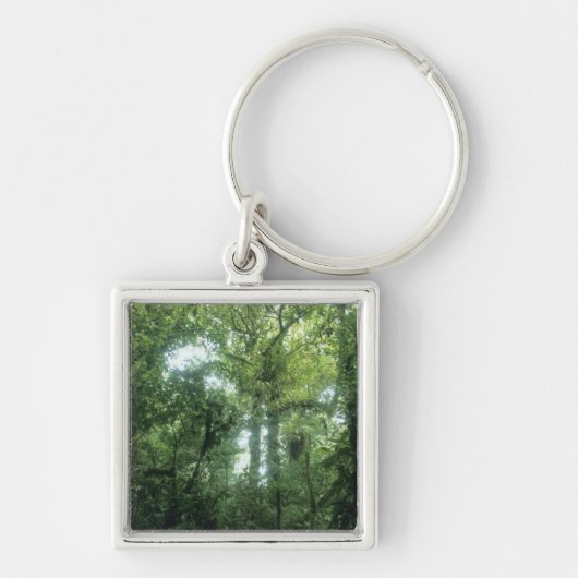 Porte-clés Forêt nuageuse de Monteverde, Costa Rica. (Devant)