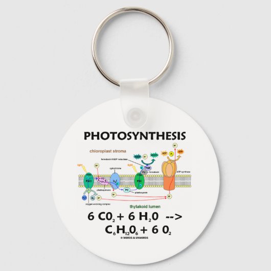 Porte-clés Formule de photosynthèse (chimique) (Recto)