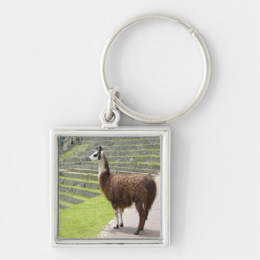 Porte-clés fort llama peru (Devant)