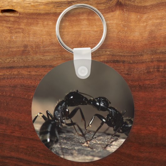 Porte-clés fourmis (Recto)