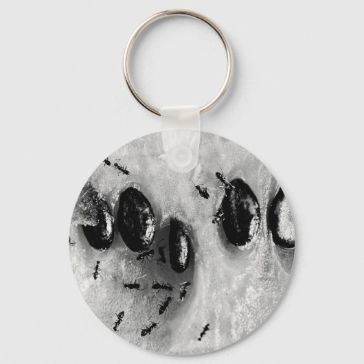 Porte-clés fourmis faisant du surf (Recto)