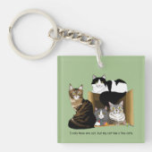 Porte-clés Foyers à chats multiples Vert Drôle (Devant)