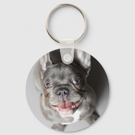 Porte-clés Französische Bulldogge (Recto)