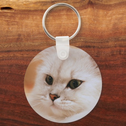 Porte-clés Freddie ~ Chinchilla Persians (Recto)