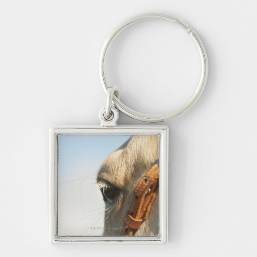 Porte-clés Frein de cheval (Devant)
