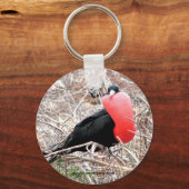 Porte-clés Frigate Bird (Fragata) dans Galapagos d'affichage  (Recto)