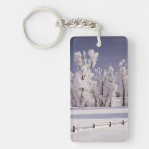 Porte-clés Frost a couvert les arbres et la barrière, le