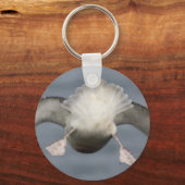 Porte-clés Fulmar (Recto)