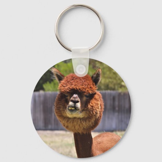 Porte-clés Funny Porte - clé Alpaca (Recto)