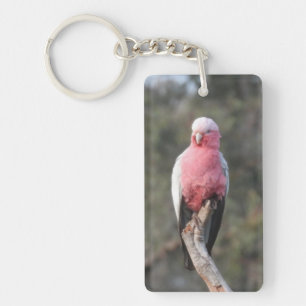Porte-clés Galah