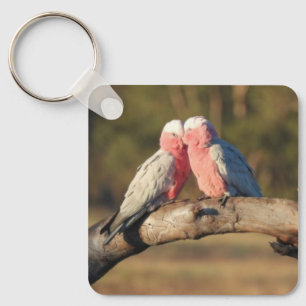 Porte-clés Galahs roses