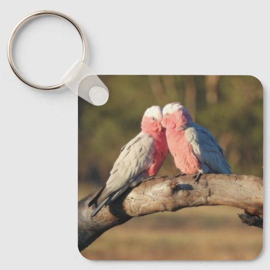 Porte-clés Galahs roses (Recto)