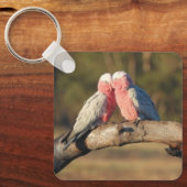 Porte-clés Galahs roses (Recto)