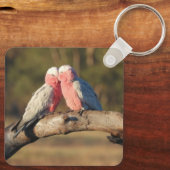 Porte-clés Galahs roses (Verso)