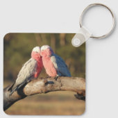 Porte-clés Galahs roses (Dos)