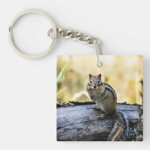 Porte-clés Gazer Chipmunk