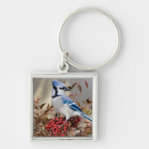Porte-clés Geai bleu dans le bambou céleste de Nandina