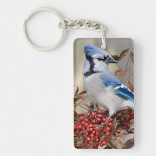 Porte-clés Geai bleu dans le bambou céleste Nandina