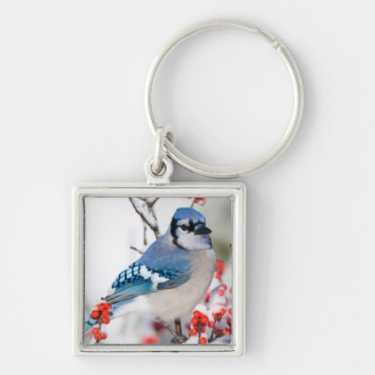 Porte-clés Geai bleu dans l'Ilex verticillé (Devant)